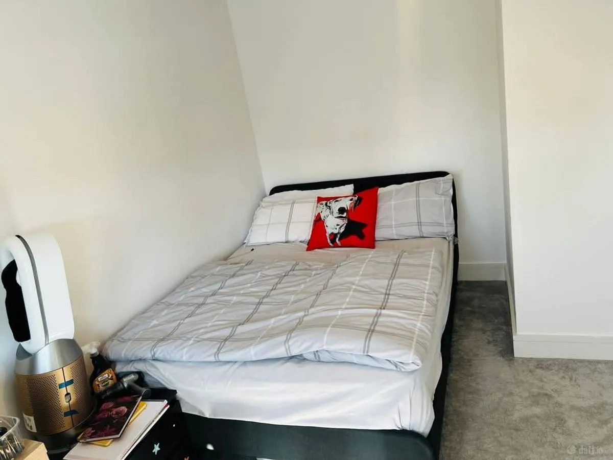Bedroom with a double bed against a white wall, gray plaid duvet, two pillows and a red decorative cushion, small nightstand with items and a bladeless fan on the left, carpeted floor