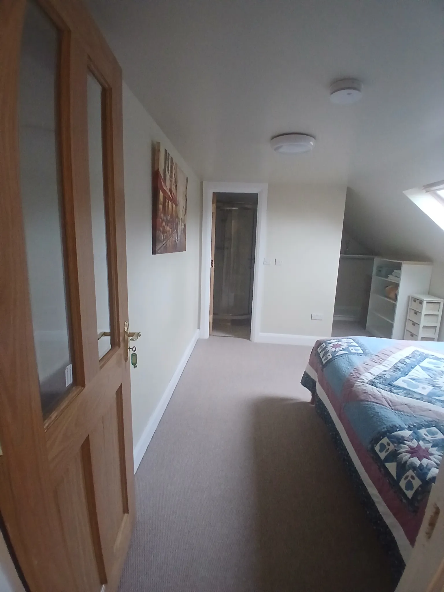 Bedroom with a partially visible bed with a patterned quilt, open wooden door, carpeted floor, ceiling lights, skylight, and open shelving/closet.