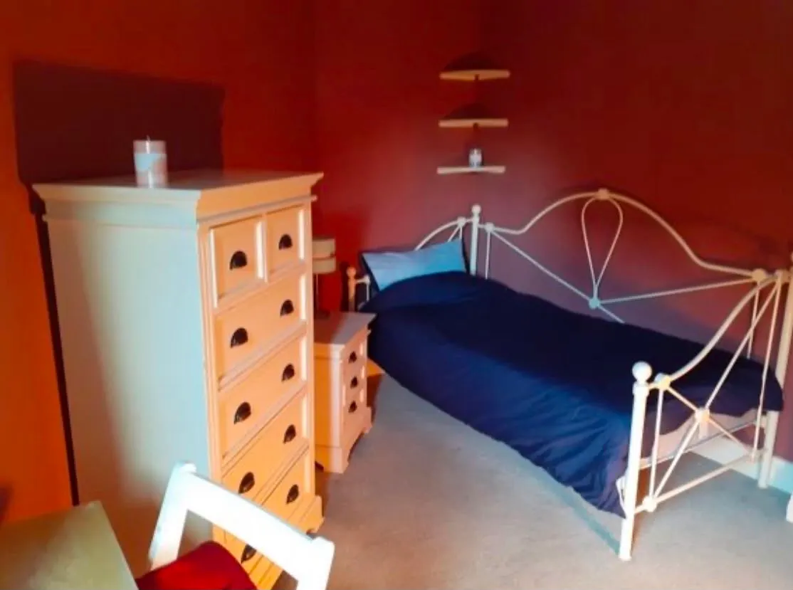 Bedroom with a white metal single bed with dark bedding, a tall white dresser, matching bedside table, three small wall shelves, a chair, and carpeted floor.